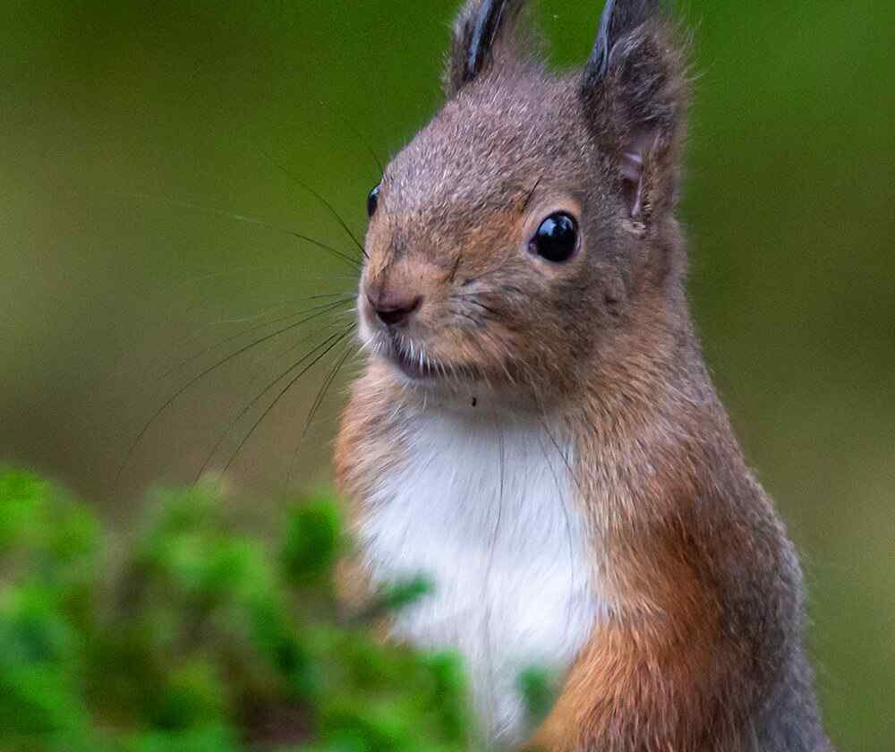 SIA 2018 : Financement du développement agricole en Côte d’Ivoire : Le FIRCA expose son savoir-faire