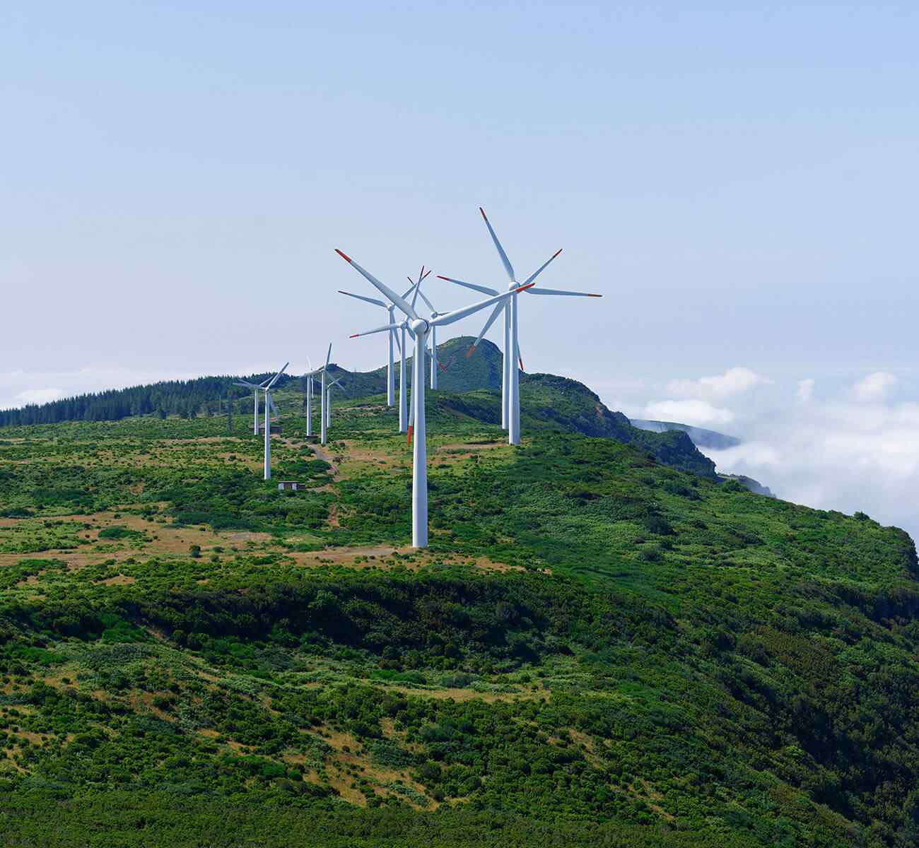 image_inner_08 https://demo.firca.ci/wp-content/uploads/2022/03/image_inner_08.jpg