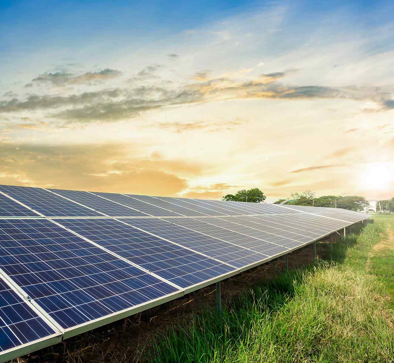 image_inner_10 https://demo.firca.ci/wp-content/uploads/2022/03/image_inner_10.jpg