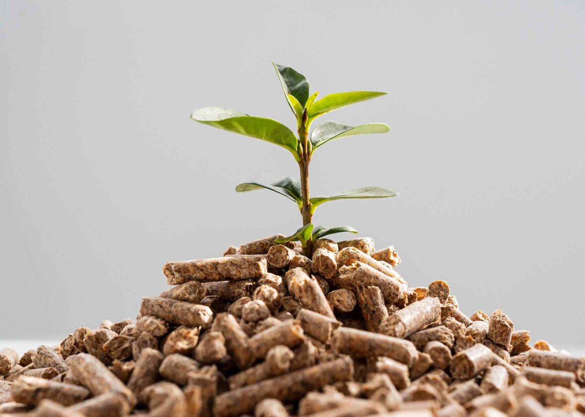 Un salon pour promouvoir le commerce du bétail et la viande