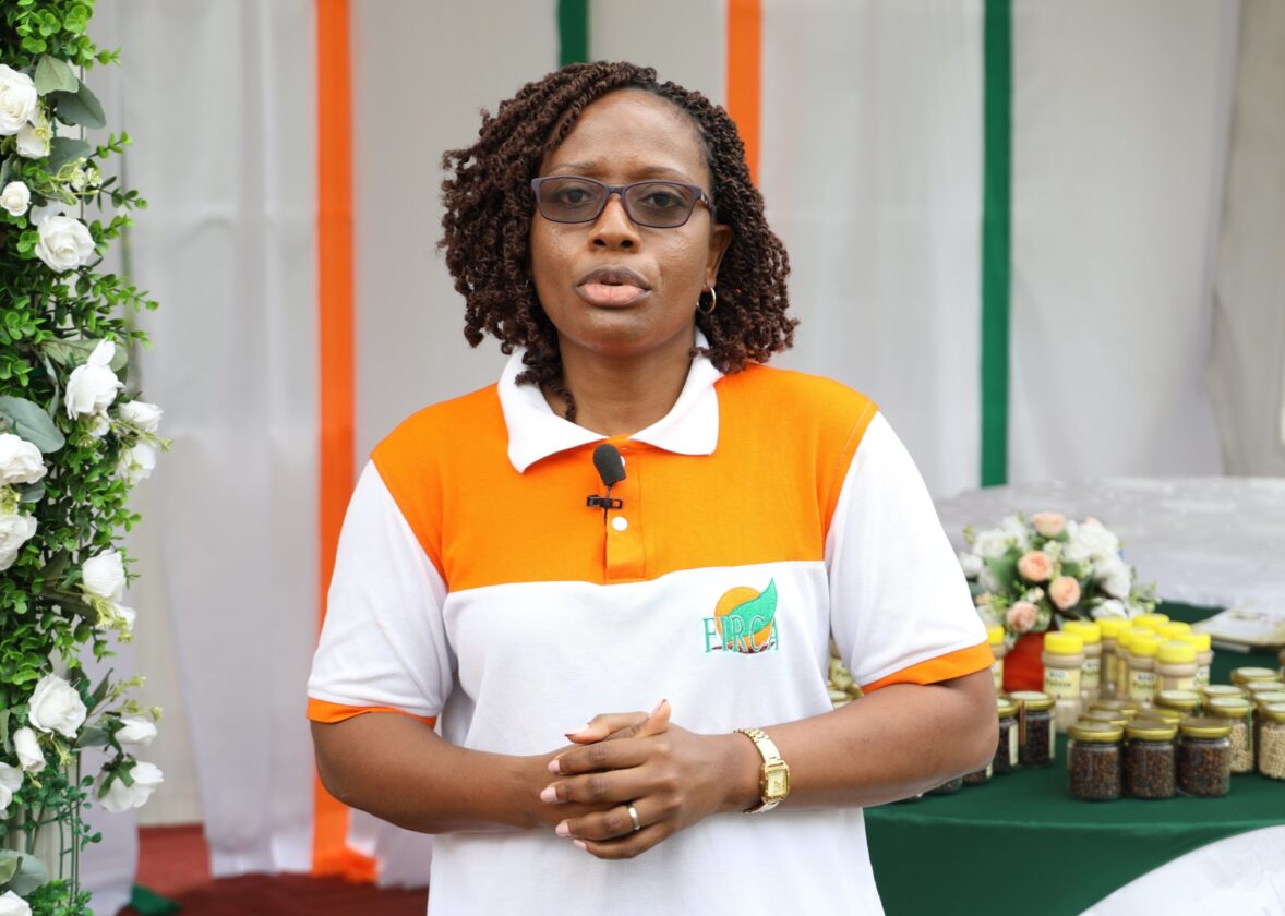 Le FIRCA toujours aux côtés des filières Poivre et Gingembre