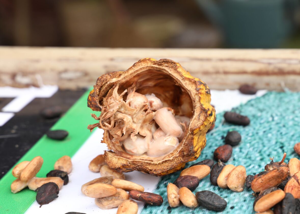 Ouverture de la 8è édition des JNCC