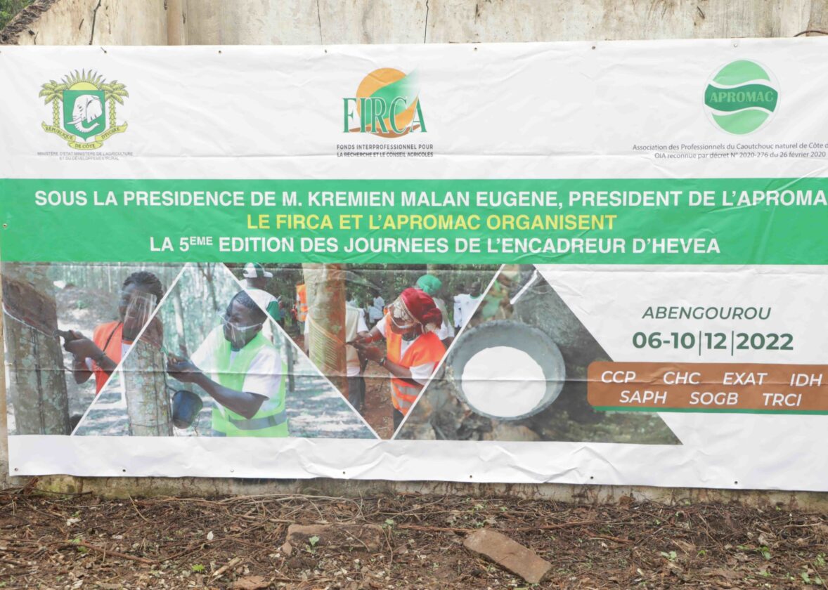 Le FIRCA et l’APROMAC passent le dispositif d’encadrement de la Filière Hévéa à la loupe