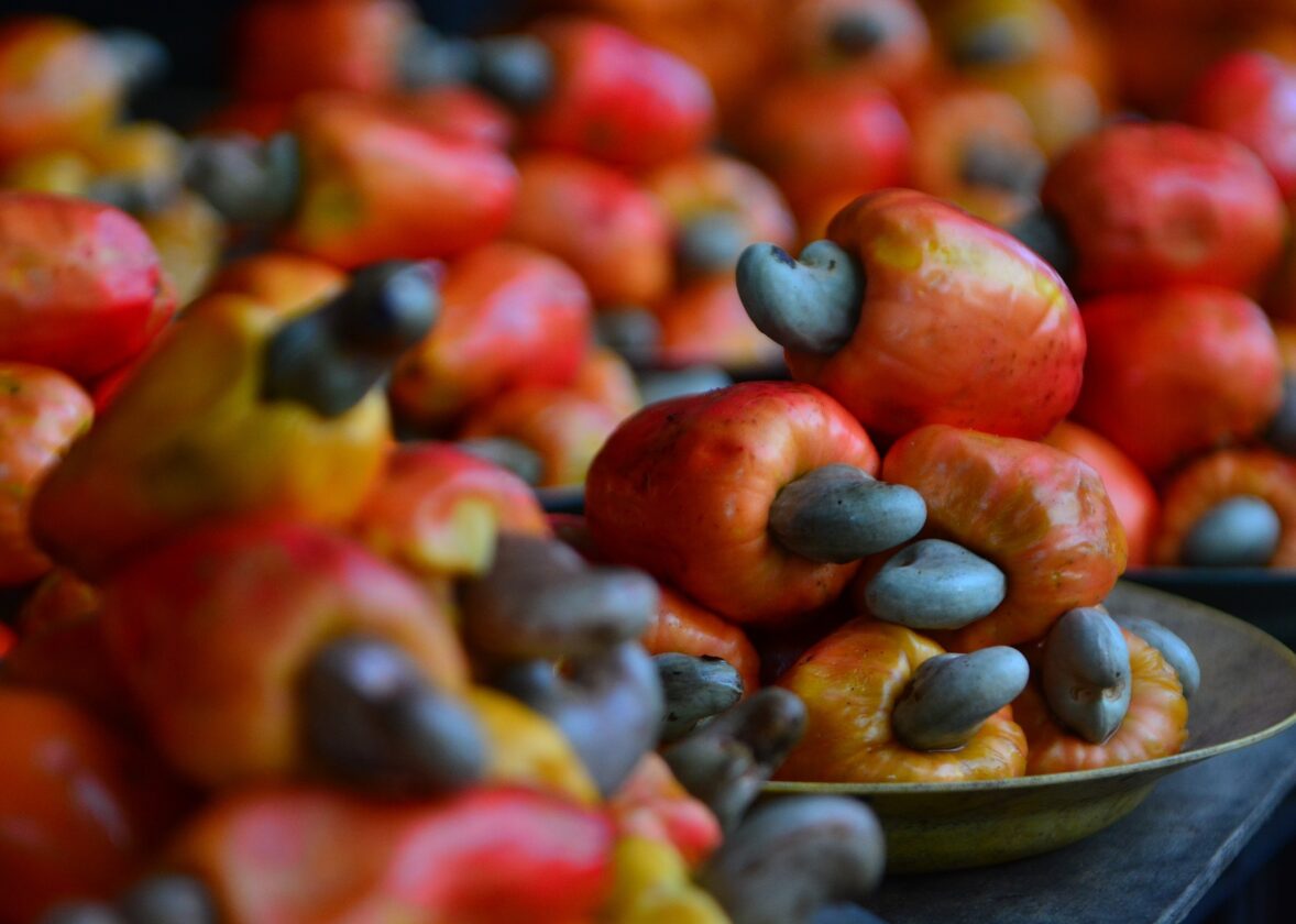 Le FIRCA et la Filière Anacarde