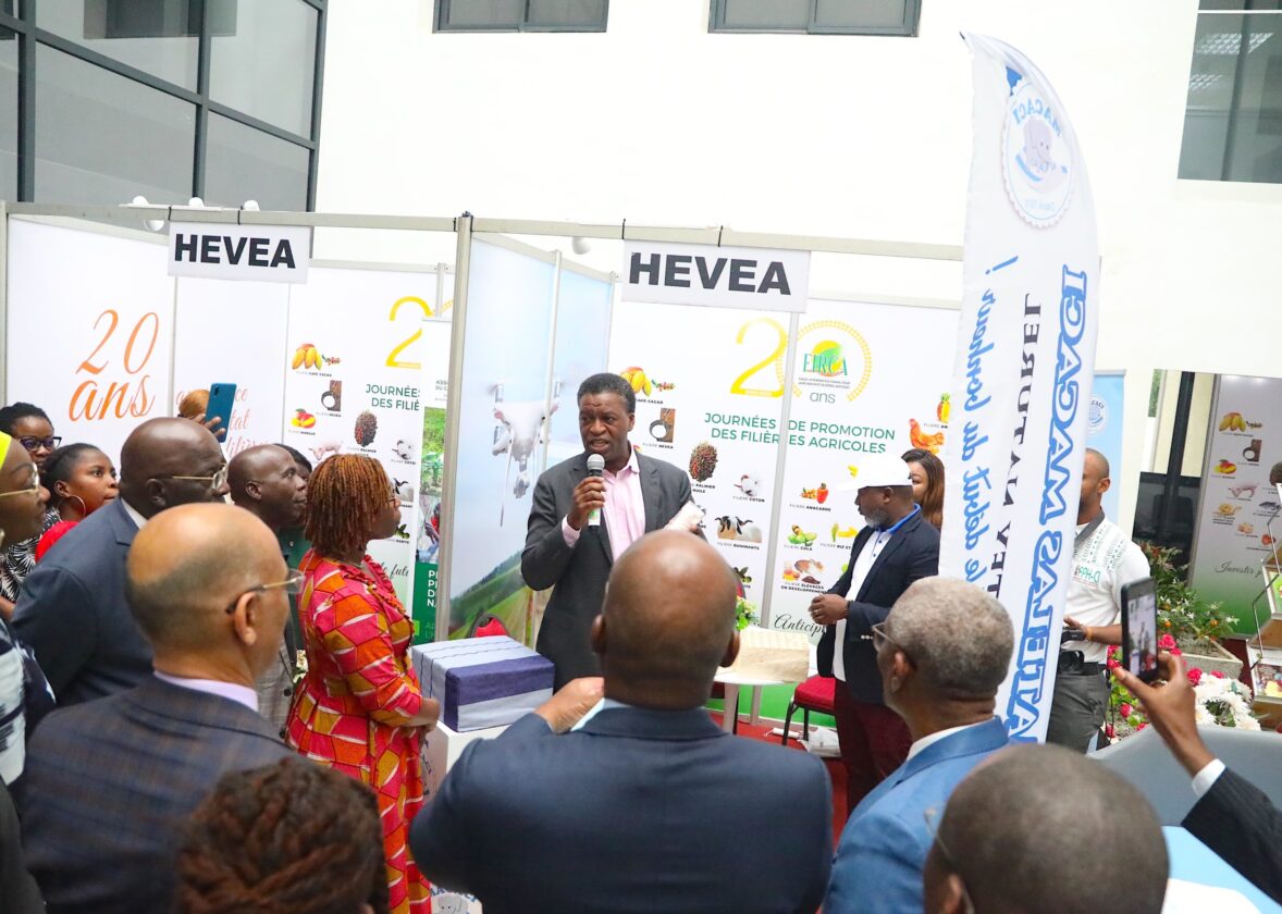 La troisième journée de promotion des filières agricoles met en lumière l’hévéa, le karité et le gingembre