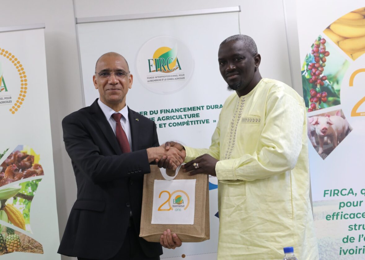 L’Interprofession de la Filiere Anacarde de Guinée sollicite une collaboration stratégique avec le FIRCA