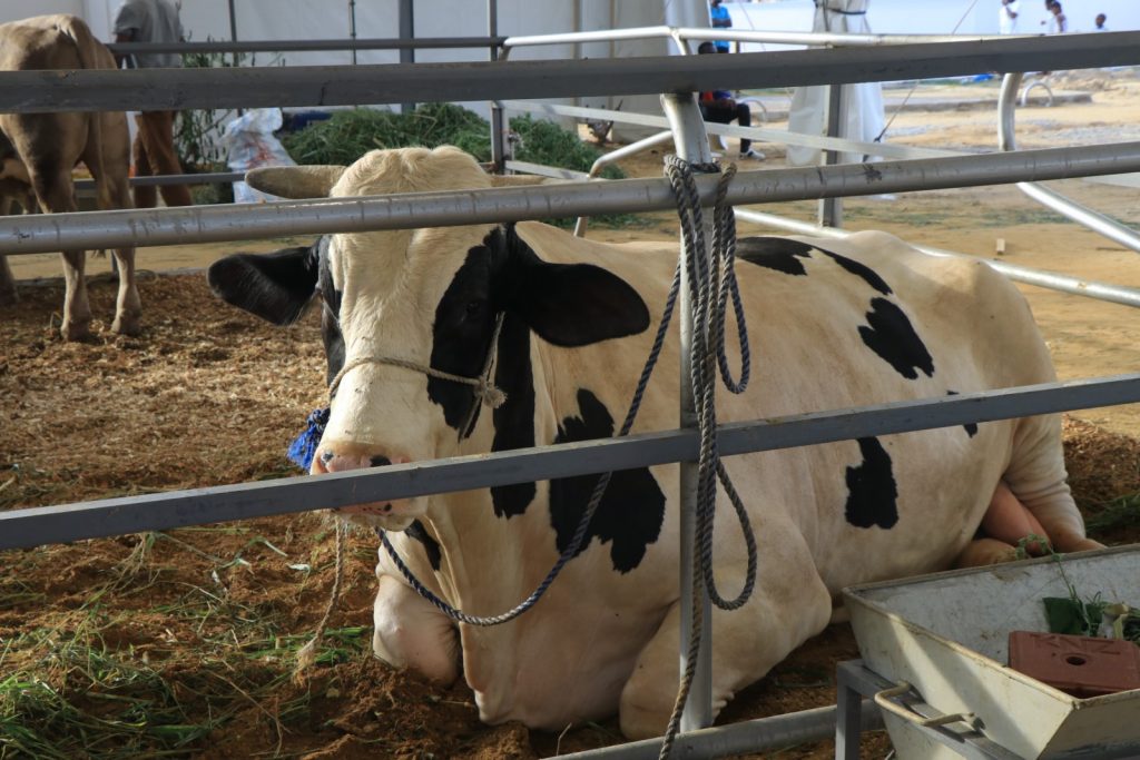 Pourquoi visiter le stand du FIRCA au SARA 2025 ?