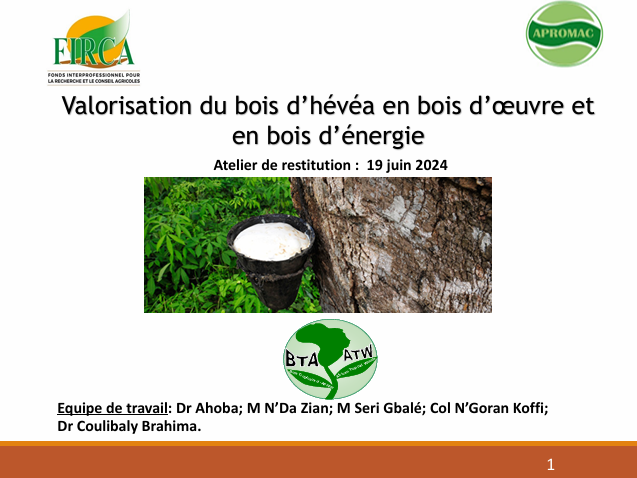 https://demo.firca.ci/wp-content/uploads/2026/01/Presentation-Valorisation-du-bois-dhevea-en-bois-doeuvre-et-en-bois-denergie.png