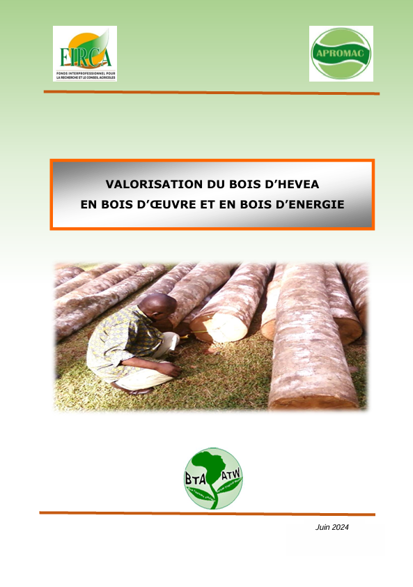 https://demo.firca.ci/wp-content/uploads/2026/01/Rapport-Valorisation-du-bois-dhevea-en-bois-doeuvre-et-en-bois-denergie.png